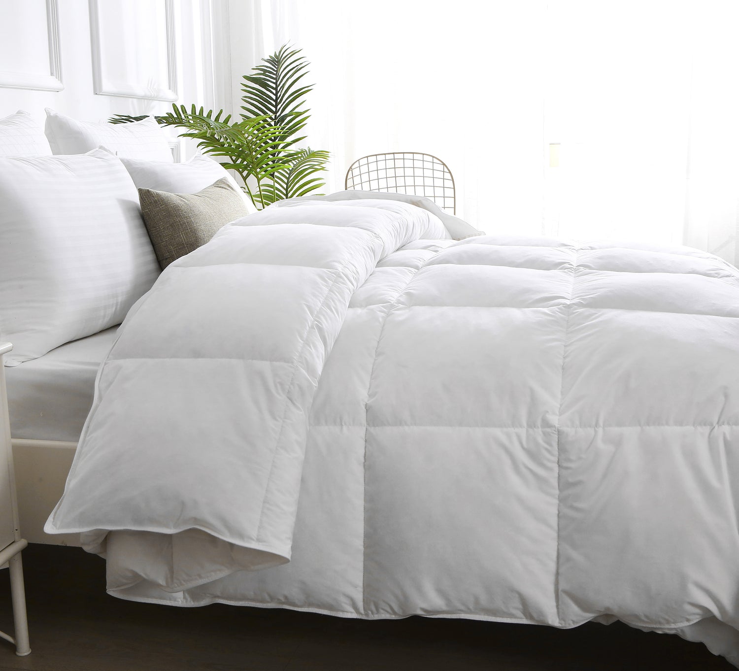 Organic Cotton Comforter