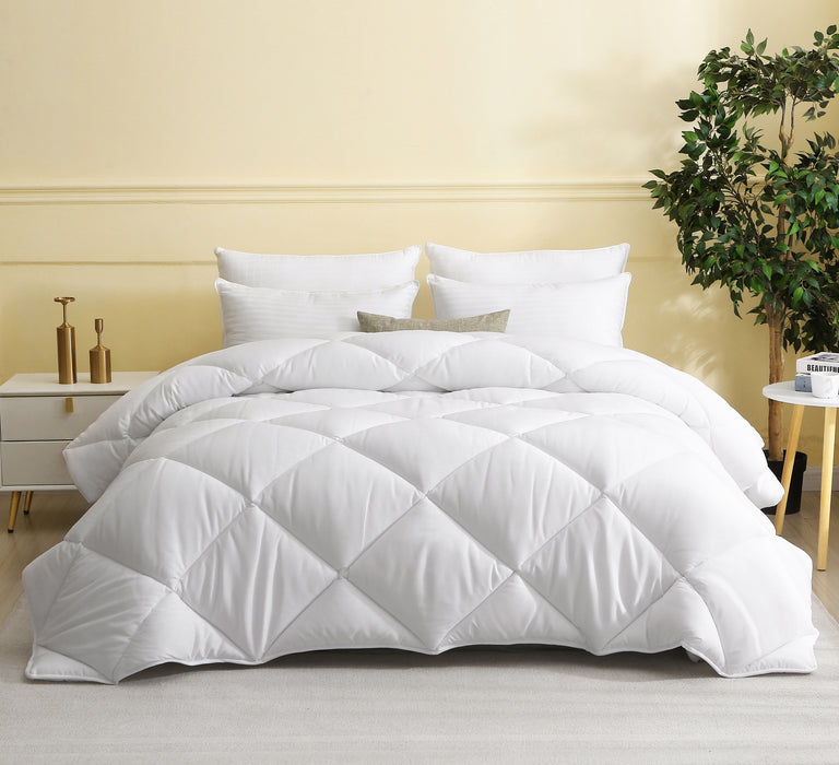 Dafinner Couette Couette CK047